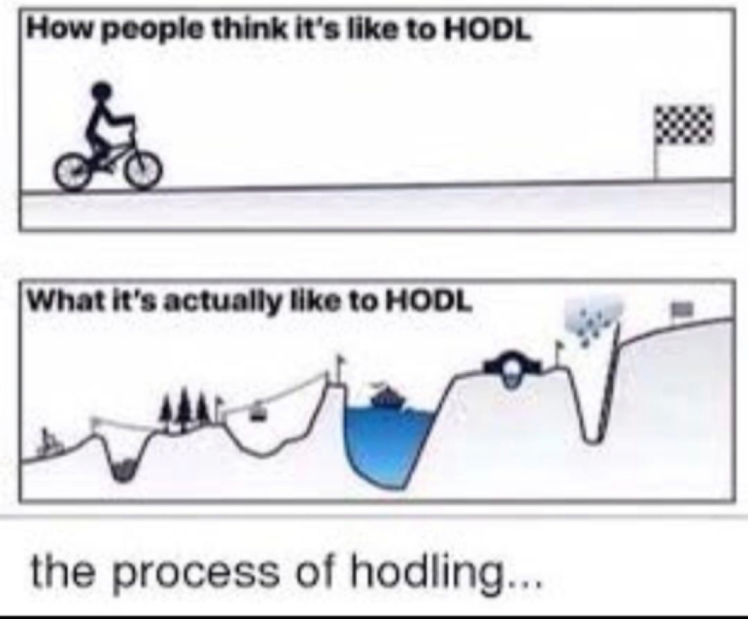 hodl.png