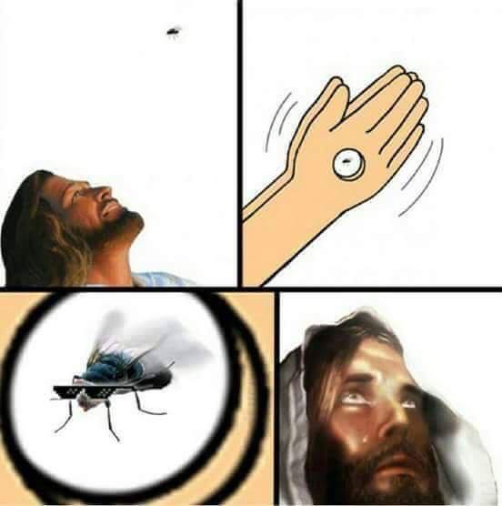 jesusfly.jpg