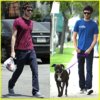 adam-brody-dog00.jpg