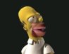 homer vagina mouth.jpg