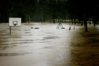 flood_park.jpg