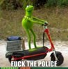 fuck the police - kermit.jpg