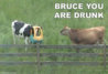 bruce you are drunk.jpg