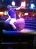 On the bull.jpg