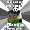 pickup line panda.png