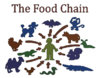 simpsons-food-chain.jpg