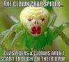 clownspider.jpg